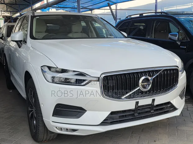 Volvo XC60 T5 Momentum AWD 2019 Pearl - 1