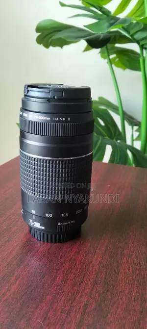 Canon EF 75-300mm Lens