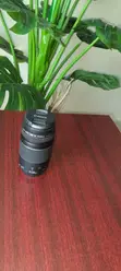 Canon EF 75-300mm Lens - 2