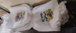 Non-Woven Bag Printing Service - 1