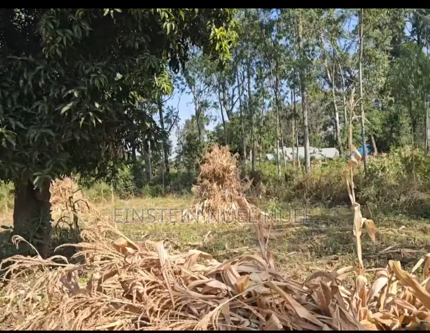 0.07ha Land for Sale in Migori, Near Kababu Polytechnic - 1