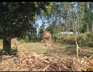 0.07ha Land for Sale in Migori, Near Kababu Polytechnic