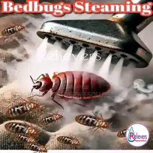 Bedbug Steaming and Spraying Services