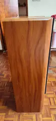 Used Column Home Speakers - 2