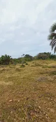 400 Acres Land for Sale, Funzi Island - 5
