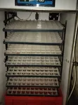 Egg Incubator for Sale - 616 Egg Capacity - 2