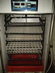Egg Incubator for Sale - 616 Egg Capacity - 3