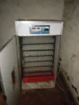 Egg Incubator for Sale - 616 Egg Capacity - 5