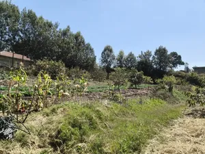 One Acre Residential Land for Sale in Ngong, Ol Keri