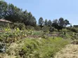 One Acre Residential Land for Sale in Ngong, Ol Keri - 1