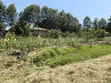 One Acre Residential Land for Sale in Ngong, Ol Keri - 2