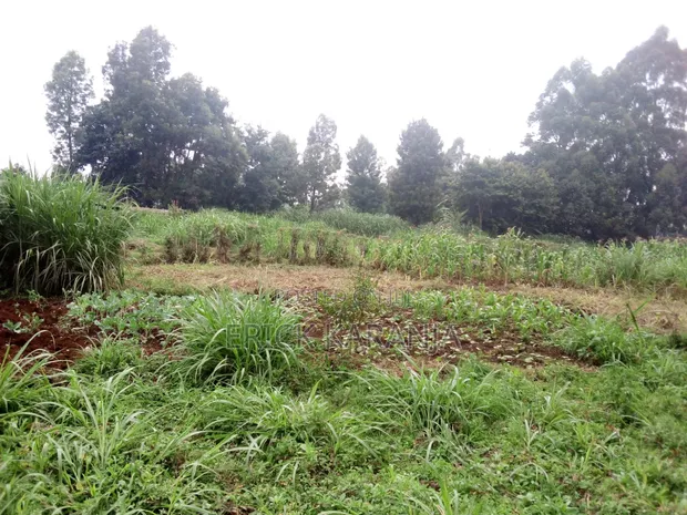 One Acre Land for Sale near Muna Primary School, Limuru - 1