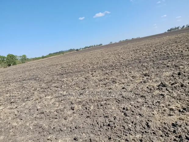 20 Acres Farmland for Lease in Kisaju - 1