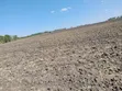20 Acres Farmland for Lease in Kisaju - 1