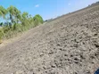 20 Acres Farmland for Lease in Kisaju - 2