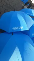 Sky Blue Umbrella - 3