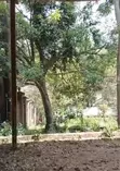 Commercial Land for Lease - Peponi Road, Westlands - 3