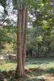 Commercial Land for Lease - Peponi Road, Westlands - 5
