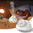H2O Teddy Bear Humidifier 160ml - 1