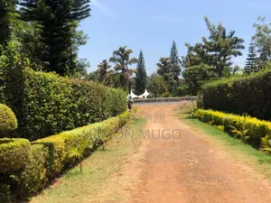 Kibirigwi Kiangwaci 40x120 Plot 50m from Highway