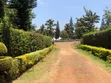 Kibirigwi Kiangwaci 40x120 Plot 50m from Highway - 1