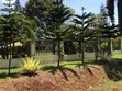 Kibirigwi Kiangwaci 40x120 Plot 50m from Highway - 2