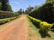 Kibirigwi Kiangwaci 40x120 Plot 50m from Highway - 3
