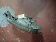 Subaru Legacy BL5 Xenon Headlight - 2