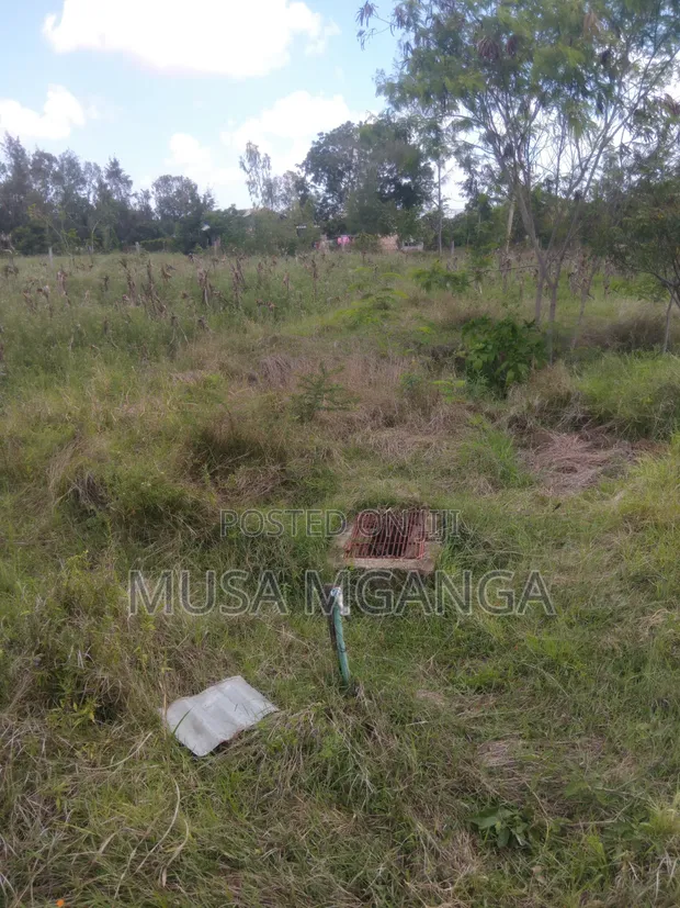 1/4 Acre Plot for Sale - Farming, Residential, or Commercial - 1