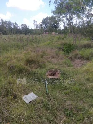 1/4 Acre Plot for Sale - Farming, Residential, or Commercial