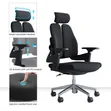 High-Back Dual Spine Ergonomic Office Chair - Black - 1