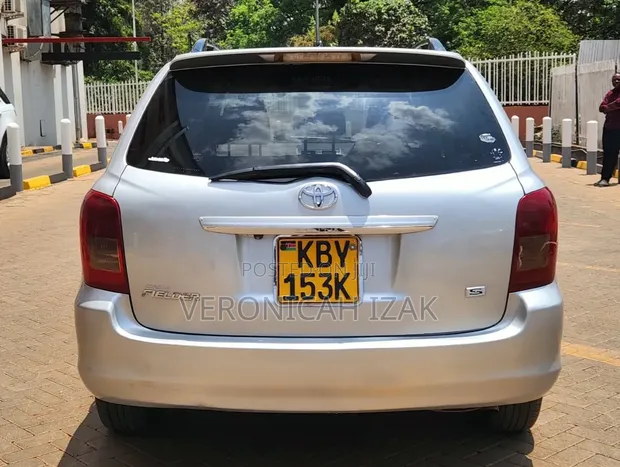 Toyota Corolla Fielder 2007 Silver - 1