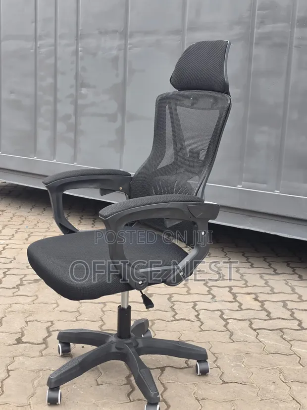 Ergonomic Executive Office Chair with Footrest - Reclining Mesh - 1