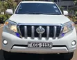 Toyota Land Cruiser Prado 2010 - 1
