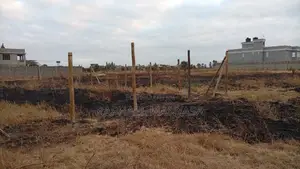 Kitalu cha 50x100 Kinachouzwa Kamulu