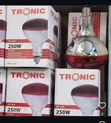 Tronic Infrared Chicken Bulb 250W - 1