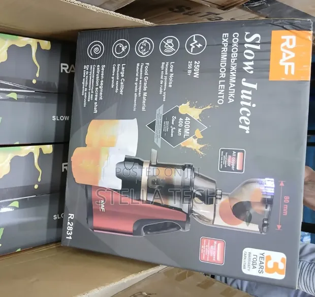 Raf Electric Slow Juicer - 1
