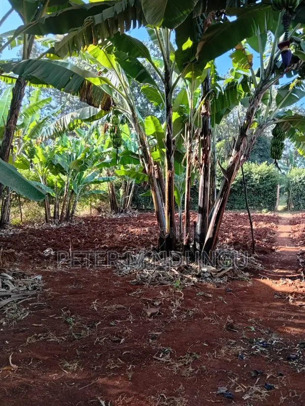 Golden Palm Gated Community Estate - Ardhi ya Makazi Mtaa wa Kiambu Road - 1