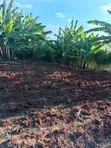 Golden Palm Gated Community Estate - Ardhi ya Makazi Mtaa wa Kiambu Road - 5