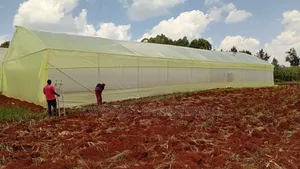Greenhouse Construction Services