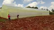 Greenhouse Construction Services - 1
