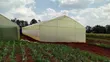 Greenhouse Construction Services - 1