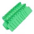 High-Visibility Medium Ear Tags for Cattle - 1