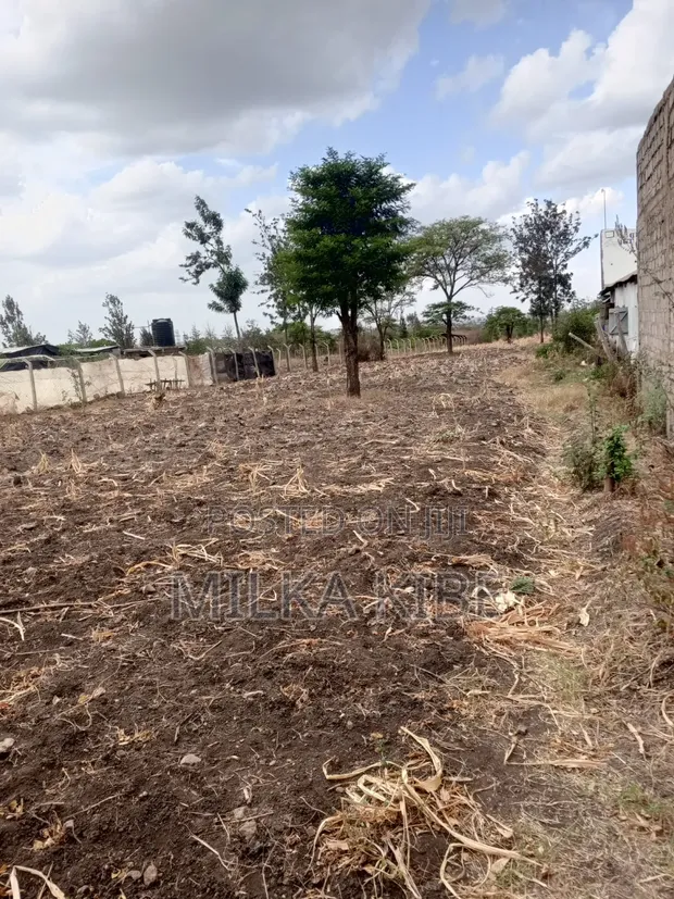 Muthaara Highland Plots - 40x80 - 1
