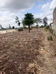 Muthaara Highland Plots - 40x80 - 1