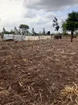 Muthaara Highland Plots - 40x80 - 2