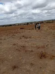 Isinya Plots Along Namanga Road - 3