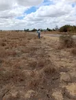 Isinya Plots Along Namanga Road - 5