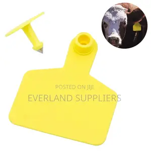 Cattle Ear Tags for Herd Organization (Brand New)