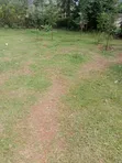 50x100 Plot for Sale in Salgaa Town, Phase One - 2